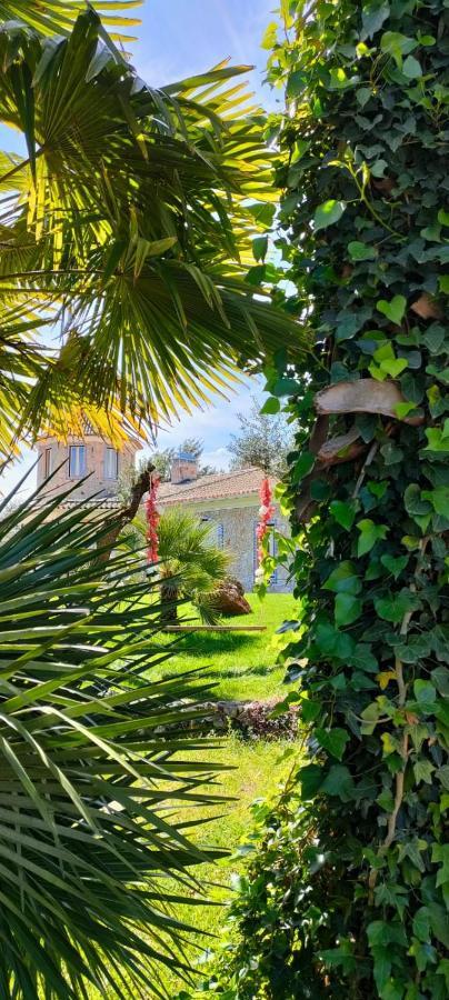 Quinta Do Bamby Villa Leiria Luaran gambar