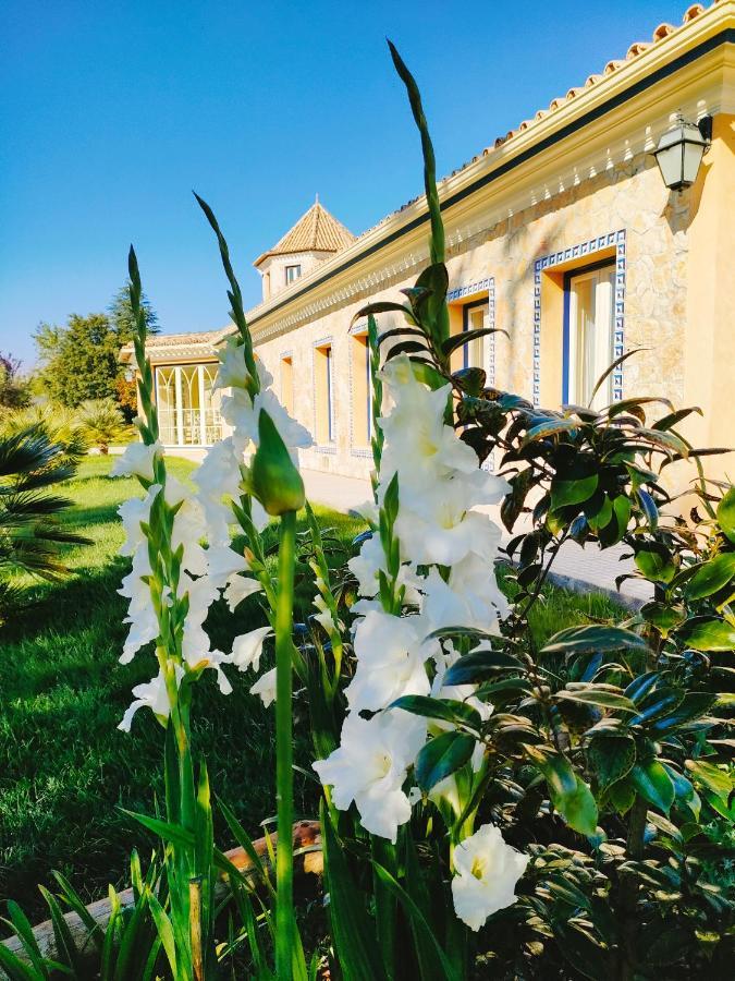 Quinta Do Bamby Villa Leiria Luaran gambar