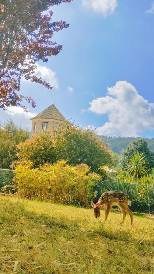 Quinta Do Bamby Villa Leiria Luaran gambar